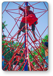 Scaling the Net Climber