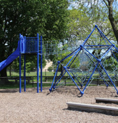 The Importance of Physical Activity